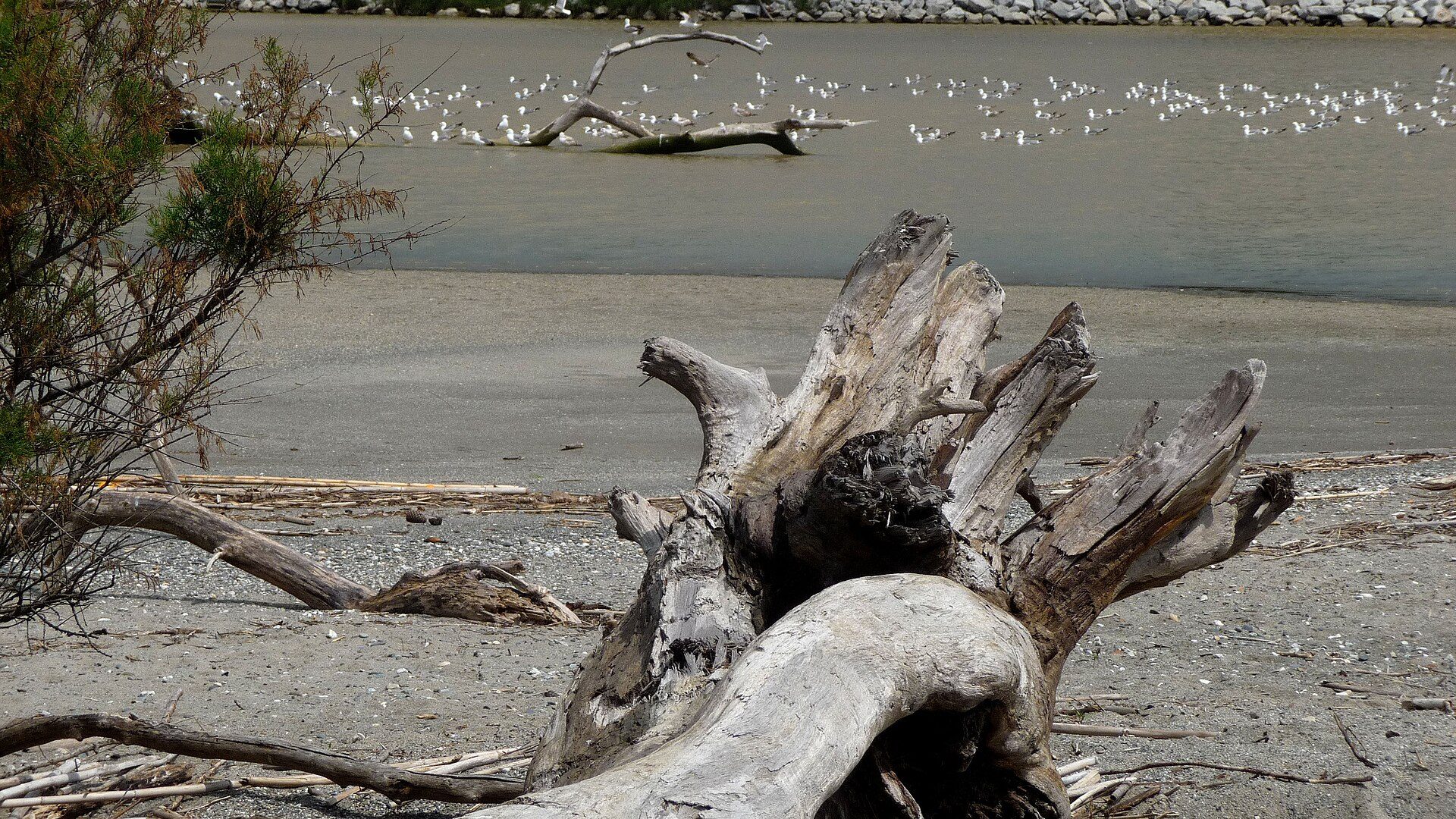 Beachfront room with ocean view, featuring a large window and comfortable seating.